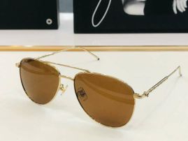 Picture of Montblanc Sunglasses _SKUfw55830896fw